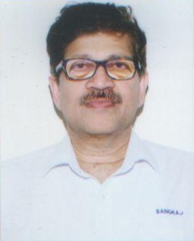 Mr Girdhar Sanganeria